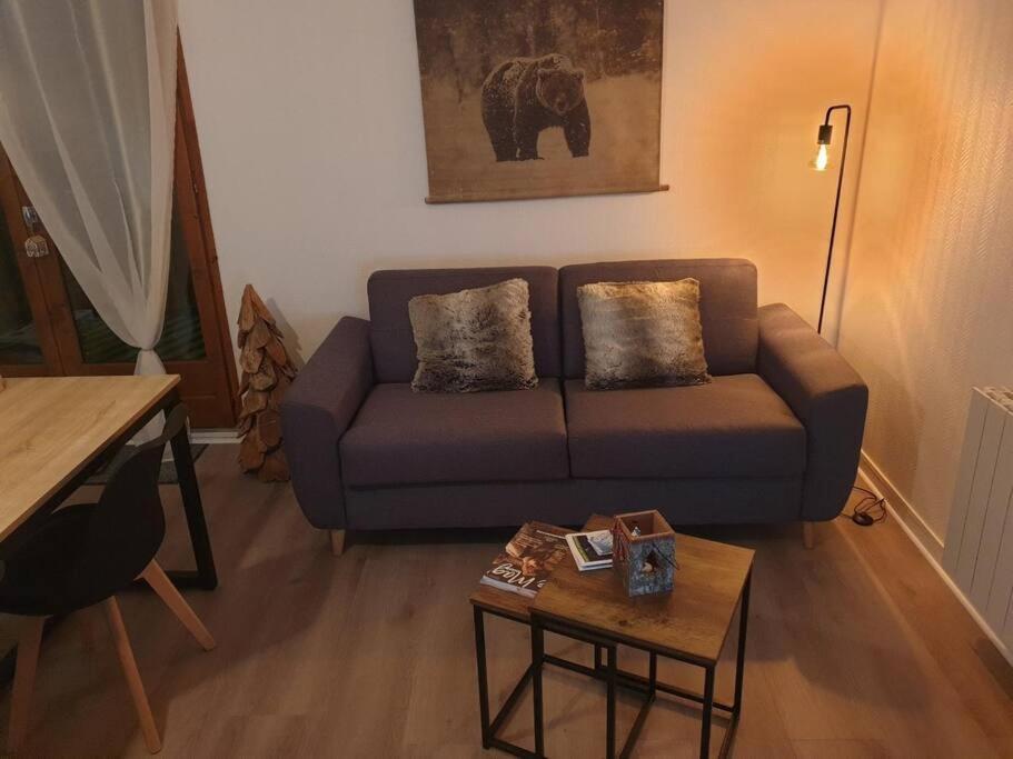 Appartement Au Pied Des Telecabines Res La Soulan Bagnères-de-Luchon 外观 照片